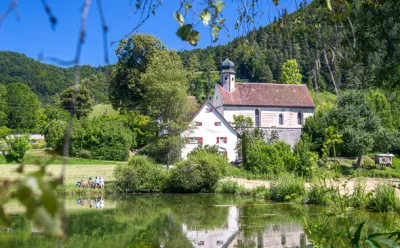 Die Donau bei Mühlheim