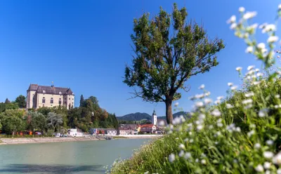 Die Greinburg in Grein