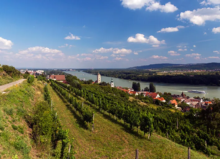 Donau-Radweg-Krems