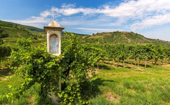 Ruhetag in der Wachau