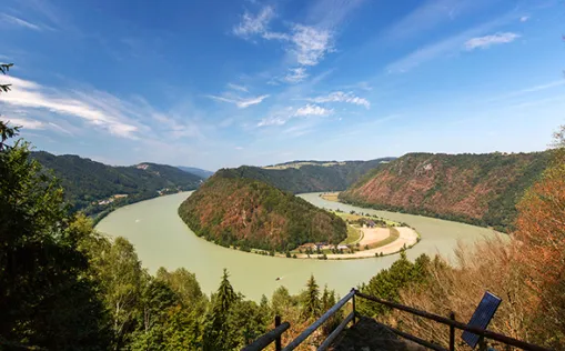 Schlögener Schlinge am Donau-Radweg in Österreich