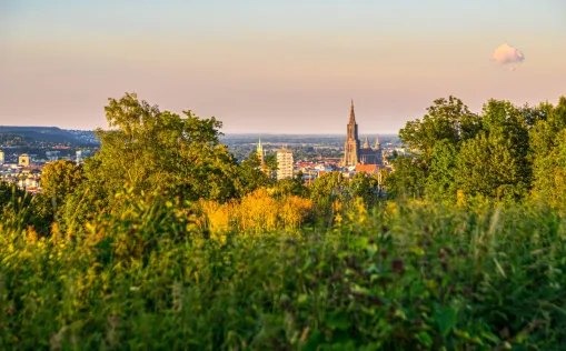 Ulm, Münster