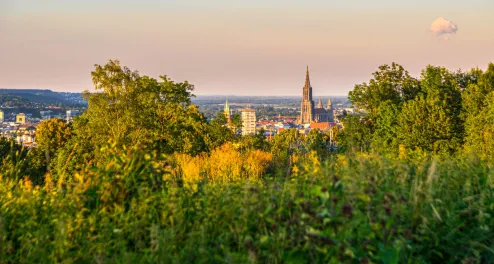 Ulm, Münster